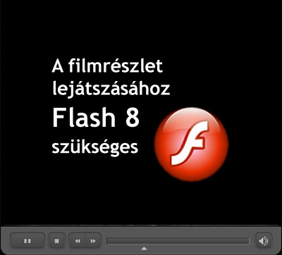 Flash 8